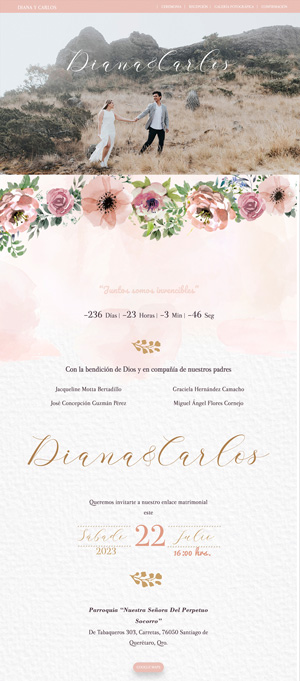 diseño web floral boda